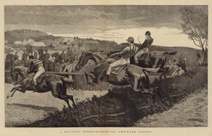 Vojenská steeplechase, trapný koutek
